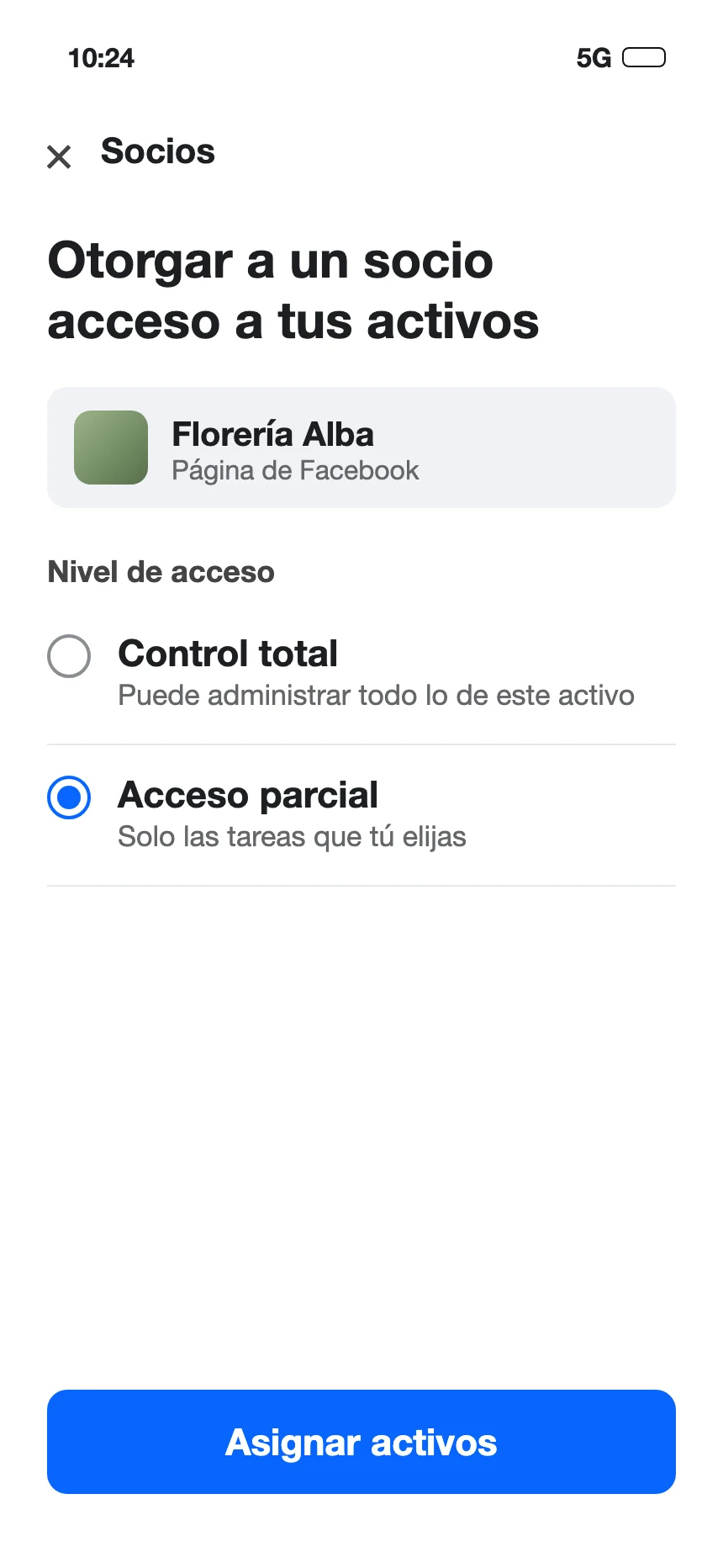 La pantalla de Meta para darle acceso a un socio: la página de Facebook elegida y el acceso parcial seleccionado